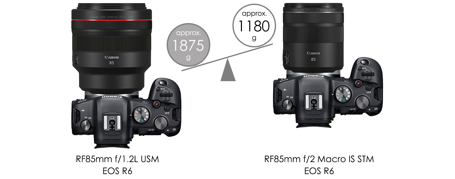 Canon RF 85mm F2 Macro IS STM